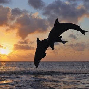 Meet your Posher, Caylee